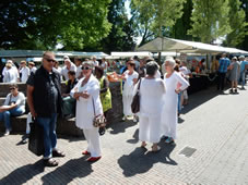 Uitvoering 2017 Muziektuin (7).jpg